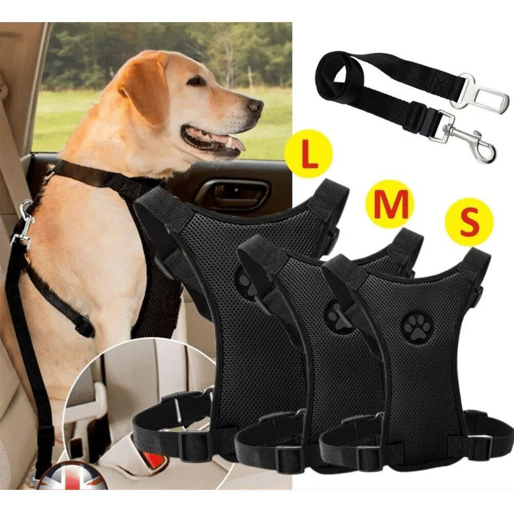 Pet Leash and Harness