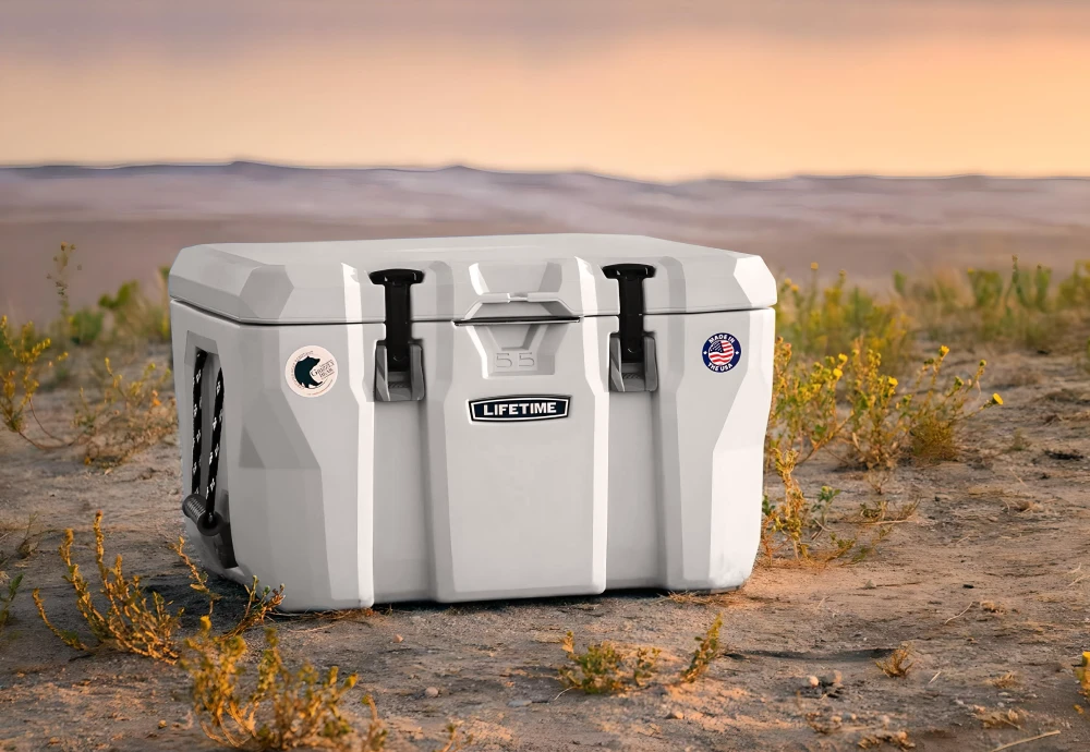 best outdoor cooler