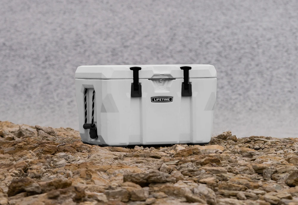 best outdoor cooler