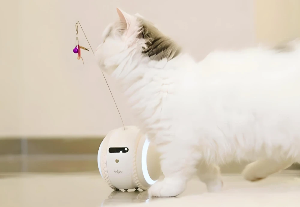 moving pet camera