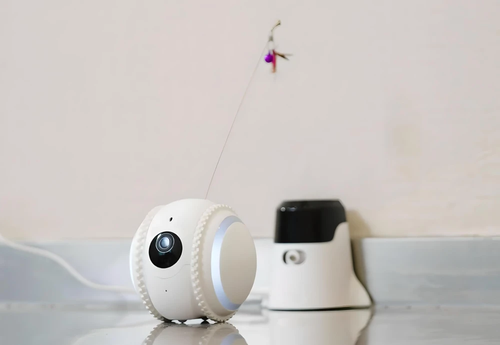 moving pet camera