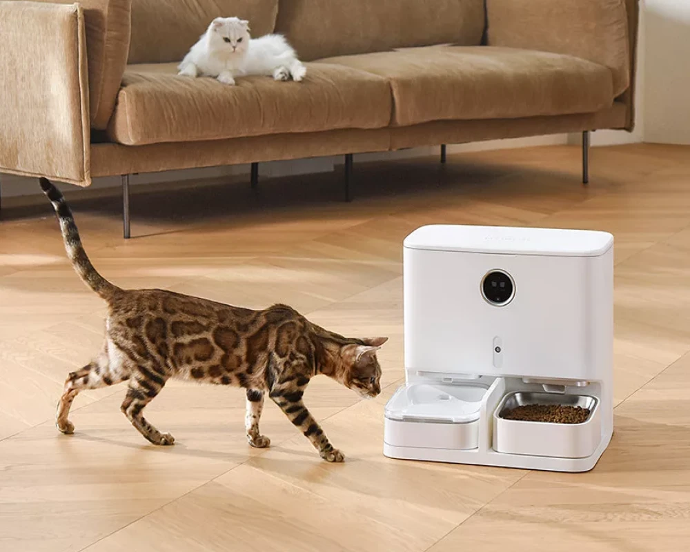 the best automatic pet feeder