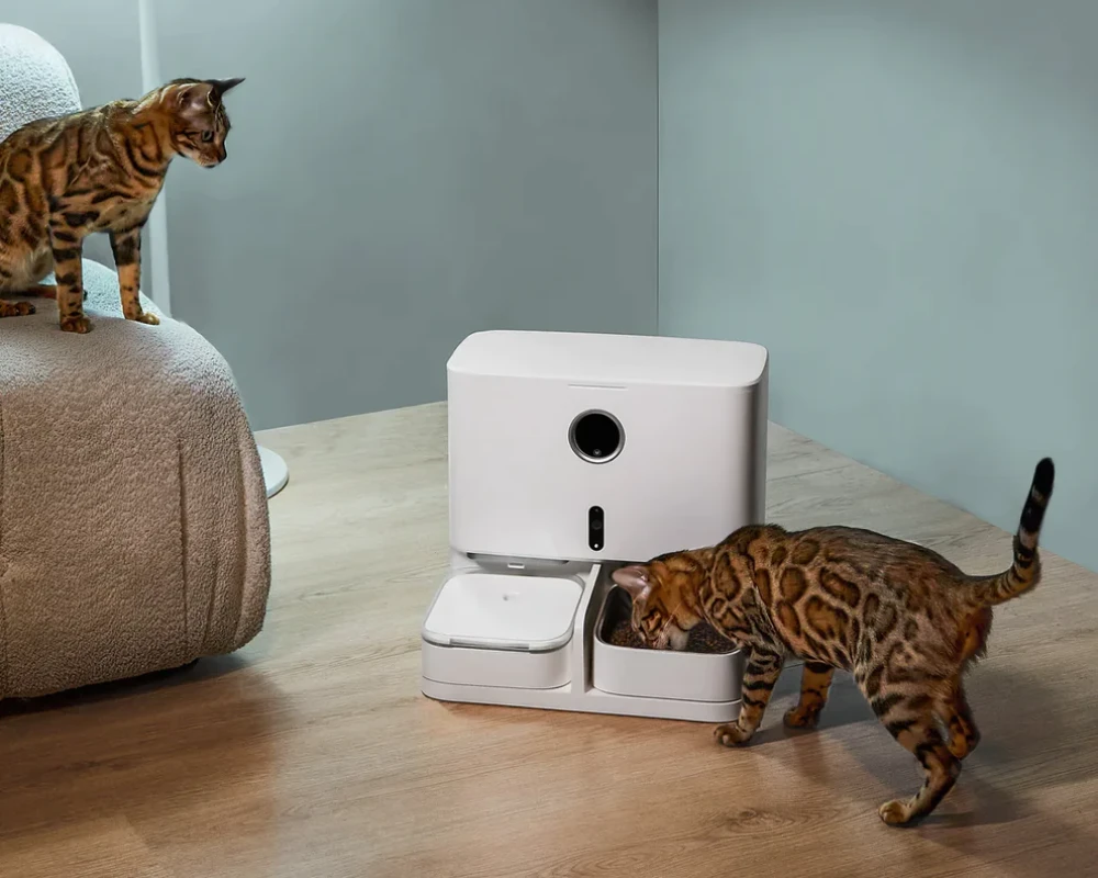 pet feeder automatic