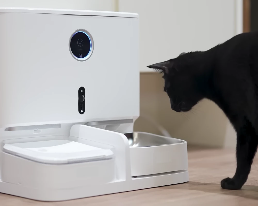 automatic dog feeder and water dispenser